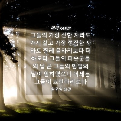Picture 04 - 미가 7:4 KOR - 그들의 가장 선한 자라도 가시 같고 - Bible Verse Picture