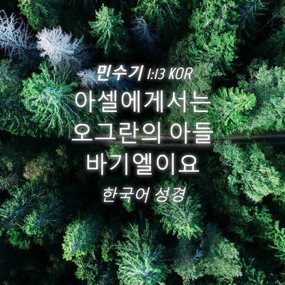 Picture 04 - 민수기 1:13 KOR - 아셀에게서는 오그란의 아들 - Bible Verse Picture