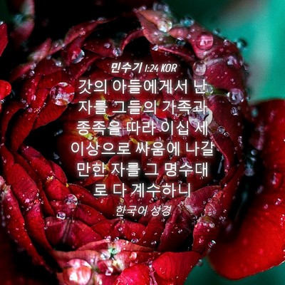Picture 04 - 민수기 1:24 KOR - 갓의 아들에게서 난 자를 그들의 - Bible Verse Picture