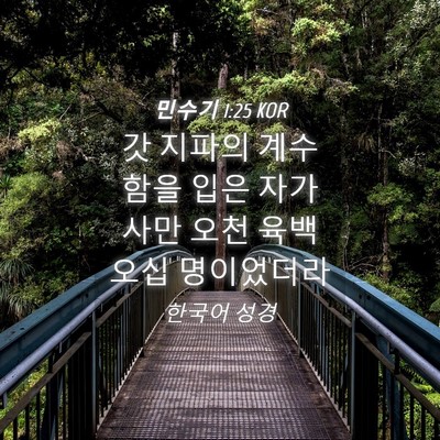 Picture 04 - 민수기 1:25 KOR - 갓 지파의 계수함을 입은 자가 사만 - Bible Verse Picture