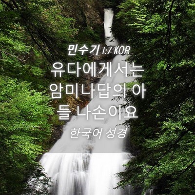 Picture 04 - 민수기 1:7 KOR - 유다에게서는 암미나답의 아들 - Bible Verse Picture