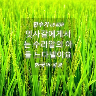 Picture 04 - 민수기 1:8 KOR - 잇사갈에게서는 수리알의 아들 - Bible Verse Picture