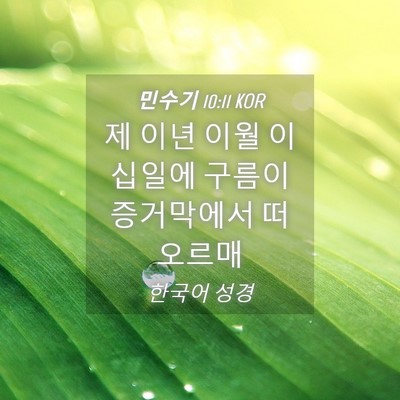 Picture 04 - 민수기 10:11 KOR - 제 이년 이월 이십일에 구름이 - Bible Verse Picture