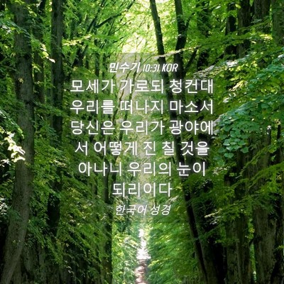 Picture 04 - 민수기 10:31 KOR - 모세가 가로되 청컨대 우리를 떠나지 - Bible Verse Picture