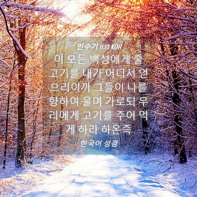 Picture 04 - 민수기 11:13 KOR - 이 모든 백성에게 줄 고기를 내가 - Bible Verse Picture