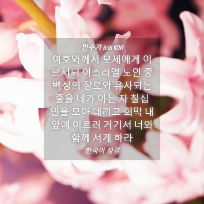 Picture 04 - 민수기 11:16 KOR - 여호와께서 모세에게 이르시되 - Bible Verse Picture