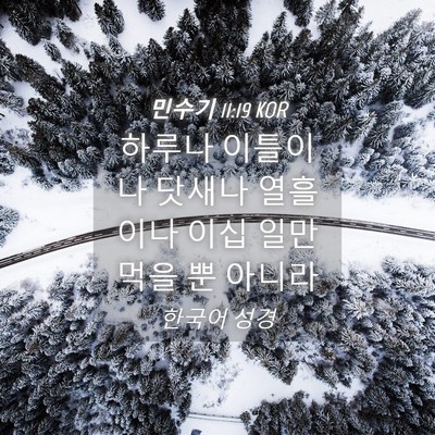 Picture 04 - 민수기 11:19 KOR - 하루나 이틀이나 닷새나 열흘이나 - Bible Verse Picture