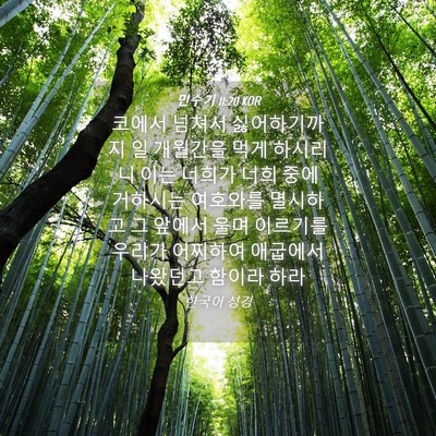 Picture 04 - 민수기 11:20 KOR - 코에서 넘쳐서 싫어하기까지 일 - Bible Verse Picture