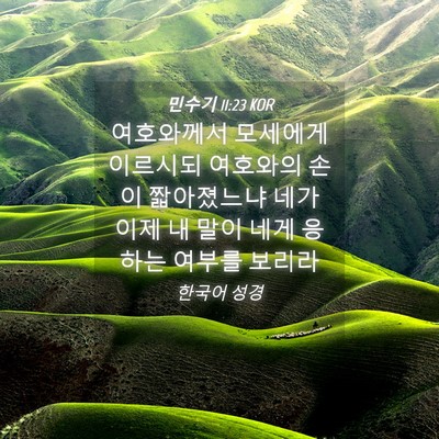 Picture 04 - 민수기 11:23 KOR - 여호와께서 모세에게 이르시되 - Bible Verse Picture