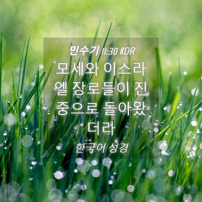 Picture 04 - 민수기 11:30 KOR - 모세와 이스라엘 장로들이 진중으로 - Bible Verse Picture