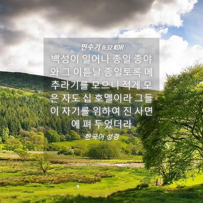 Picture 04 - 민수기 11:32 KOR - 백성이 일어나 종일 종야와 그 - Bible Verse Picture