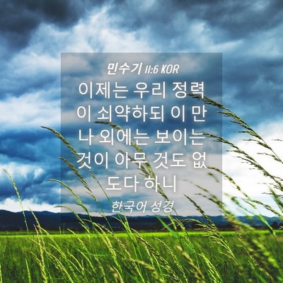 Picture 04 - 민수기 11:6 KOR - 이제는 우리 정력이 쇠약하되 이 - Bible Verse Picture