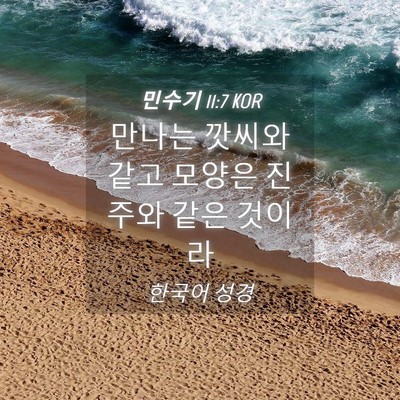 Picture 04 - 민수기 11:7 KOR - 만나는 깟씨와 같고 모양은 진주와 - Bible Verse Picture