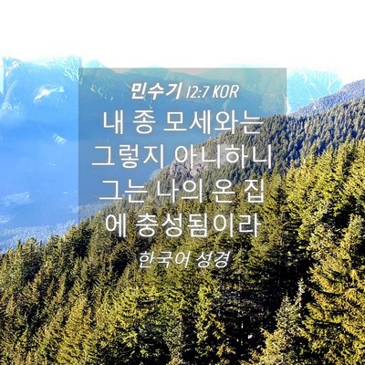 Picture 04 - 민수기 12:7 KOR - 내 종 모세와는 그렇지 아니하니 - Bible Verse Picture