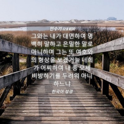 Picture 04 - 민수기 12:8 KOR - 그와는 내가 대면하여 명백히 말하고 - Bible Verse Picture