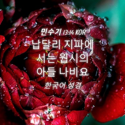 Picture 04 - 민수기 13:14 KOR - 납달리 지파에서는 웝시의 아들 - Bible Verse Picture