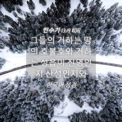 Picture 04 - 민수기 13:19 KOR - 그들의 거하는 땅의 호불호와 거하는 - Bible Verse Picture