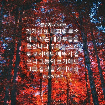 Picture 04 - 민수기 13:33 KOR - 거기서 또 네피림 후손 아낙 자손 - Bible Verse Picture