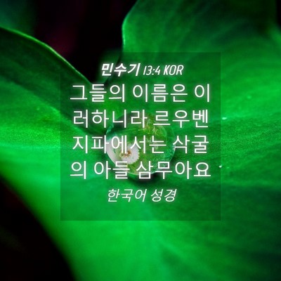 Picture 04 - 민수기 13:4 KOR - 그들의 이름은 이러하니라 르우벤 - Bible Verse Picture