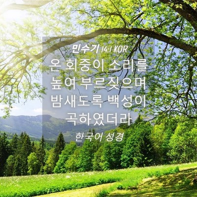 Picture 04 - 민수기 14:1 KOR - 온 회중이 소리를 높여 부르짖으며 - Bible Verse Picture