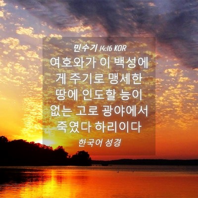 Picture 04 - 민수기 14:16 KOR - 여호와가 이 백성에게 주기로 맹세한 - Bible Verse Picture