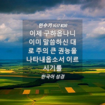 Picture 04 - 민수기 14:17 KOR - 이제 구하옵나니 이미 말씀하신 대로 - Bible Verse Picture