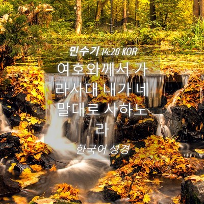 Picture 04 - 민수기 14:20 KOR - 여호와께서 가라사대 내가 네 말대로 - Bible Verse Picture