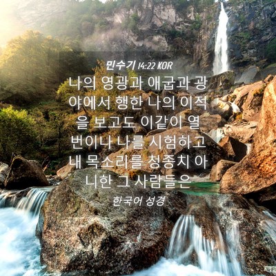 Picture 04 - 민수기 14:22 KOR - 나의 영광과 애굽과 광야에서 행한 - Bible Verse Picture