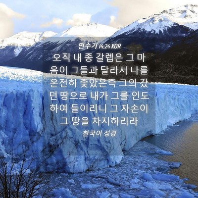 Picture 04 - 민수기 14:24 KOR - 오직 내 종 갈렙은 그 마음이 그들과 - Bible Verse Picture