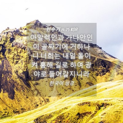 Picture 04 - 민수기 14:25 KOR - 아말렉인과 가나안인이 골짜기에 - Bible Verse Picture