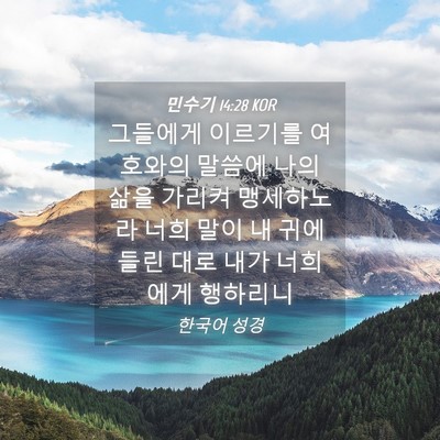 Picture 04 - 민수기 14:28 KOR - 그들에게 이르기를 여호와의 말씀에 - Bible Verse Picture