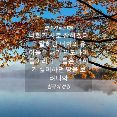Picture 04 - 민수기 14:31 KOR - 너희가 사로 잡히겠다고 말하던 - Bible Verse Picture