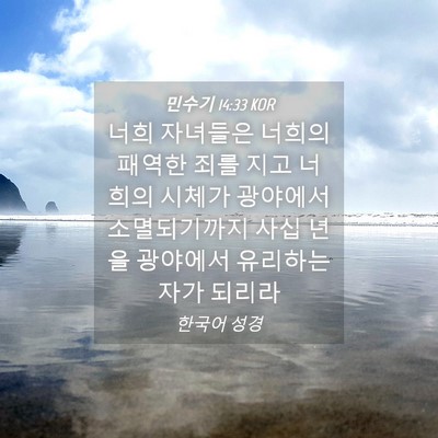 Picture 04 - 민수기 14:33 KOR - 너희 자녀들은 너희의 패역한 죄를 - Bible Verse Picture