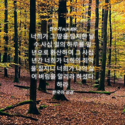 Picture 04 - 민수기 14:34 KOR - 너희가 그 땅을 탐지한 날 수 사십 - Bible Verse Picture