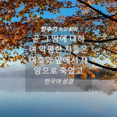 Picture 04 - 민수기 14:37 KOR - 곧 그 땅에 대하여 악평한 자들은 - Bible Verse Picture