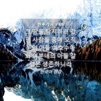 Picture 04 - 민수기 14:38 KOR - 그 땅을 탐지하러 갔던 사람들 중에 - Bible Verse Picture