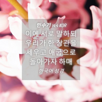Picture 04 - 민수기 14:4 KOR - 이에 서로 말하되 우리가 한 장관을 - Bible Verse Picture