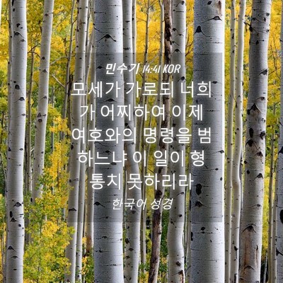 Picture 04 - 민수기 14:41 KOR - 모세가 가로되 너희가 어찌하여 이제 - Bible Verse Picture