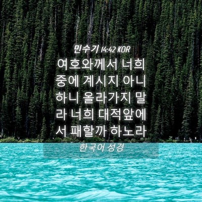 Picture 04 - 민수기 14:42 KOR - 여호와께서 너희 중에 계시지 - Bible Verse Picture