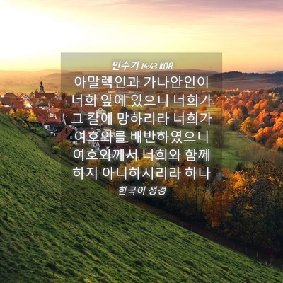 Picture 04 - 민수기 14:43 KOR - 아말렉인과 가나안인이 너희 앞에 - Bible Verse Picture