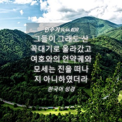 Picture 04 - 민수기 14:44 KOR - 그들이 그래도 산꼭대기로 올라갔고 - Bible Verse Picture