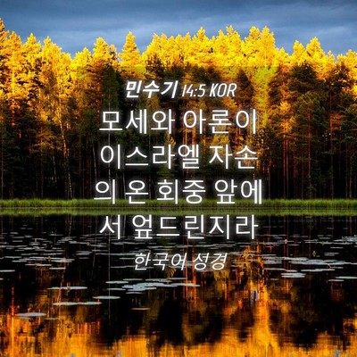 Picture 04 - 민수기 14:5 KOR - 모세와 아론이 이스라엘 자손의 온 - Bible Verse Picture