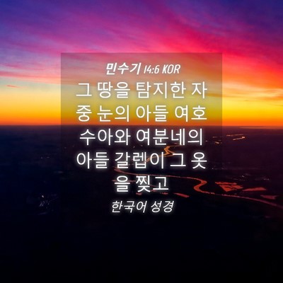 Picture 04 - 민수기 14:6 KOR - 그 땅을 탐지한 자 중 눈의 아들 - Bible Verse Picture