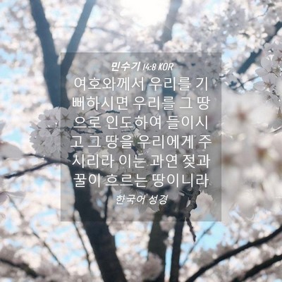 Picture 04 - 민수기 14:8 KOR - 여호와께서 우리를 기뻐하시면 - Bible Verse Picture