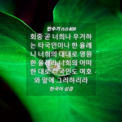 Picture 04 - 민수기 15:15 KOR - 회중 곧 너희나 우거하는 타국인이나 - Bible Verse Picture