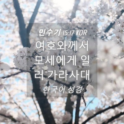 Picture 04 - 민수기 15:17 KOR - 여호와께서 모세에게 일러 - Bible Verse Picture