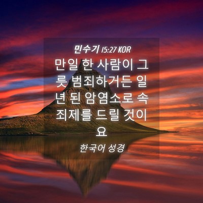Picture 04 - 민수기 15:27 KOR - 만일 한 사람이 그릇 범죄하거든 - Bible Verse Picture