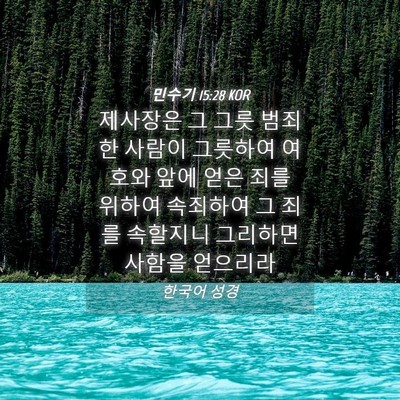 Picture 04 - 민수기 15:28 KOR - 제사장은 그 그릇 범죄한 사람이 - Bible Verse Picture