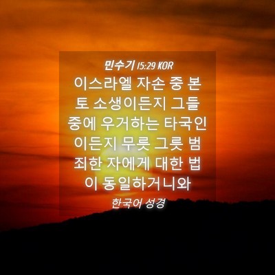Picture 04 - 민수기 15:29 KOR - 이스라엘 자손 중 본토 소생이든지 - Bible Verse Picture