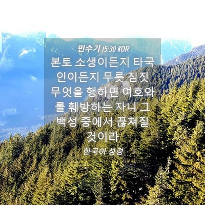 Picture 04 - 민수기 15:30 KOR - 본토 소생이든지 타국인이든지 무릇 - Bible Verse Picture